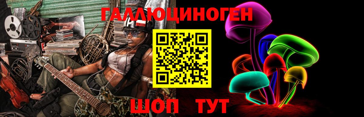 Буйнакск  Галлюциногенные грибы Psilocybine cubensis  Вход с VPN  Псилоцибиновые грибы Psilocybine cubensis 